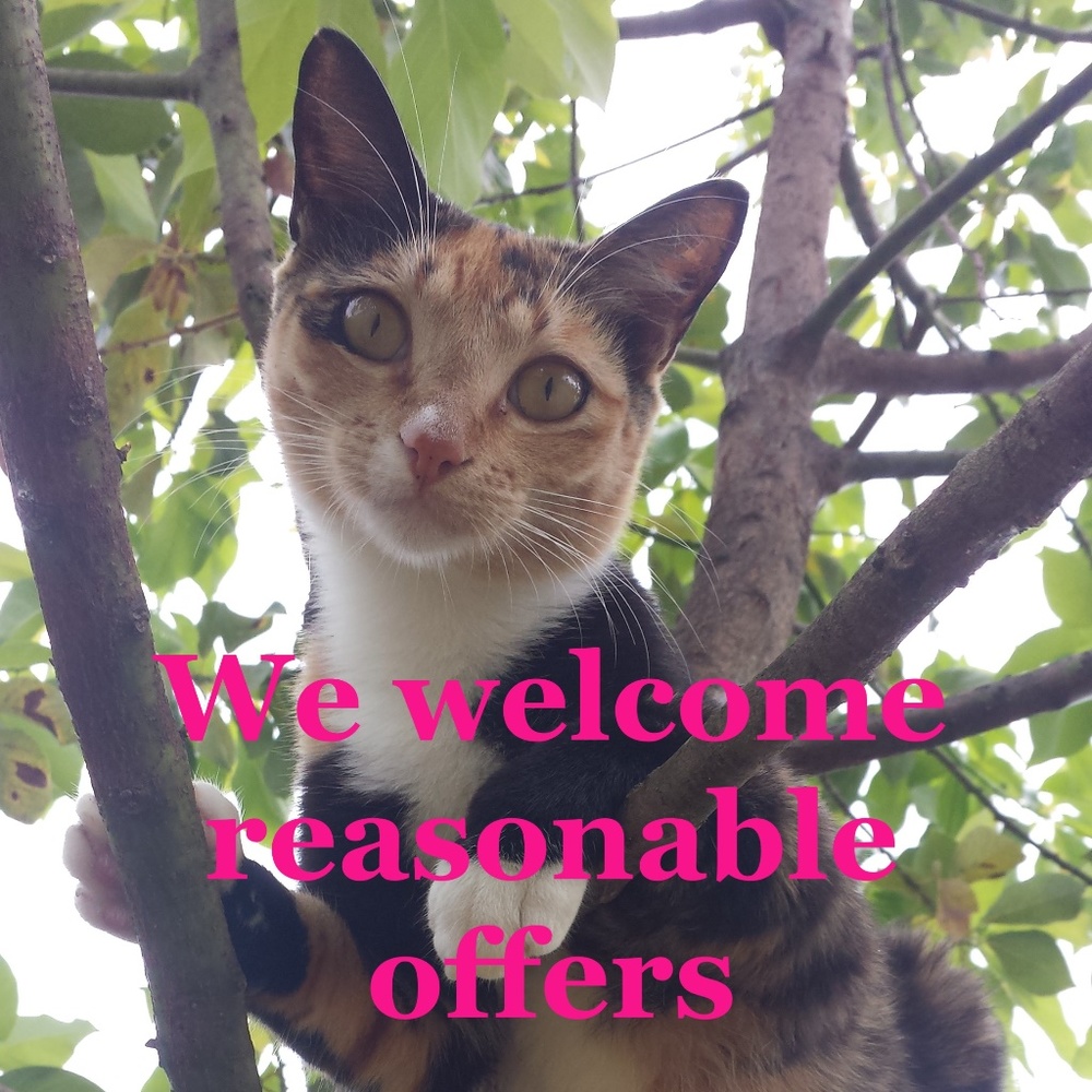 Welcoming Reasonable Offers, Don't be Shy!